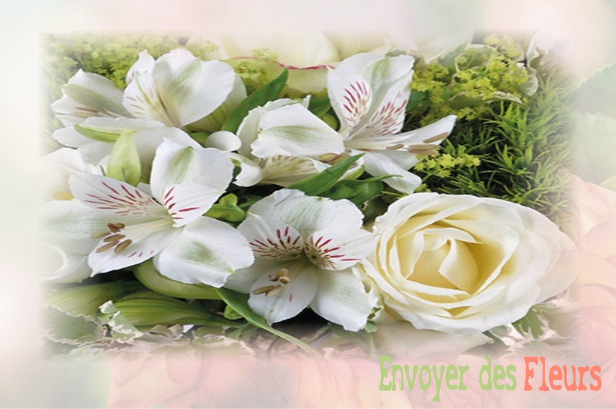 envoyer des fleurs à à AILLY-LE-HAUT-CLOCHER